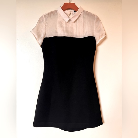 Maje | Black White | Sheer Shirt Top Collar Pencil Dress - Picture 4 of 7
